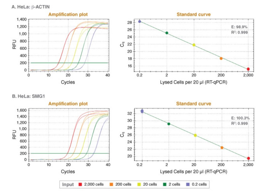 Luna® Cell Ready 一步法 RT-qPCR 试剂盒            货   号                  E3030S