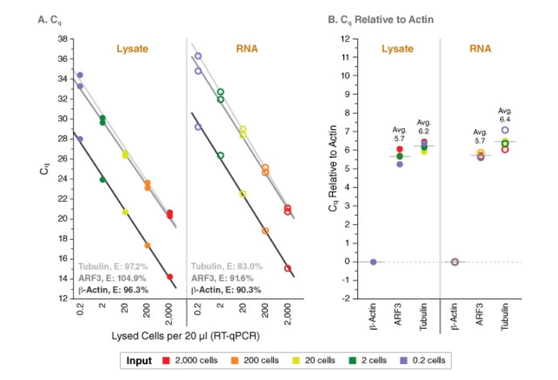 Luna® Cell Ready 一步法 RT-qPCR 试剂盒            货   号                  E3030S