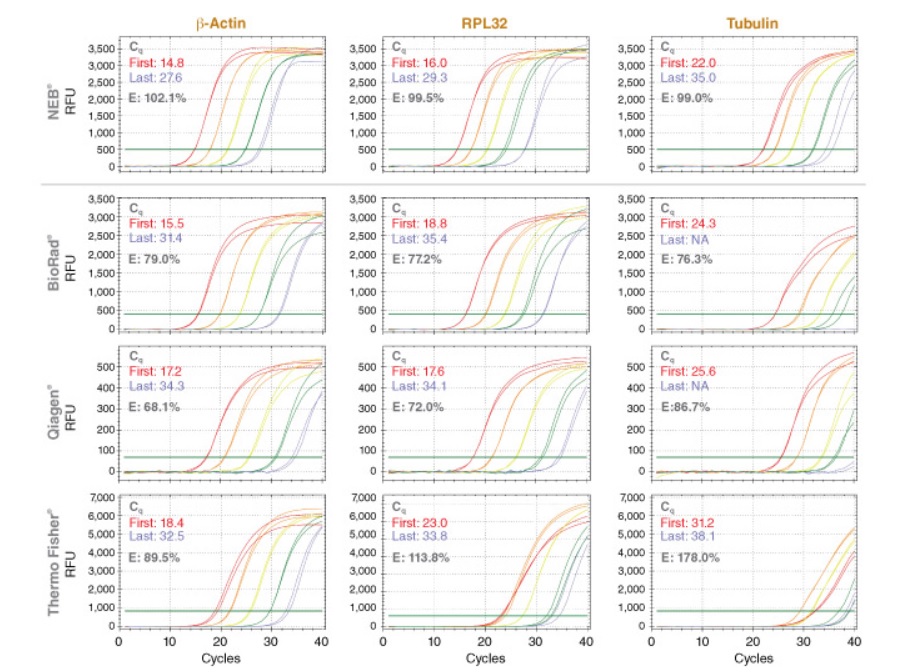 Luna® Cell Ready 一步法 RT-qPCR 试剂盒            货   号                  E3030S