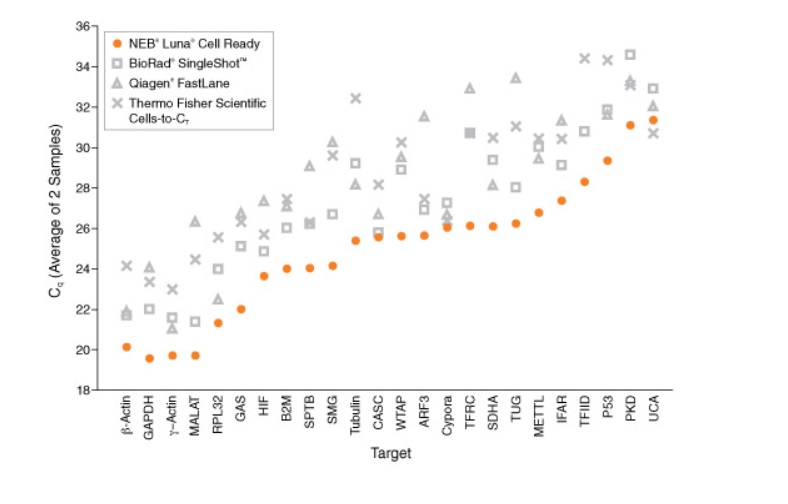 Luna® Cell Ready 一步法 RT-qPCR 试剂盒            货   号                  E3030S