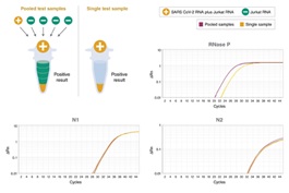 Luna® SARS-CoV-2 多重 RT-qPCR 检测试剂盒 货 号 E3019L