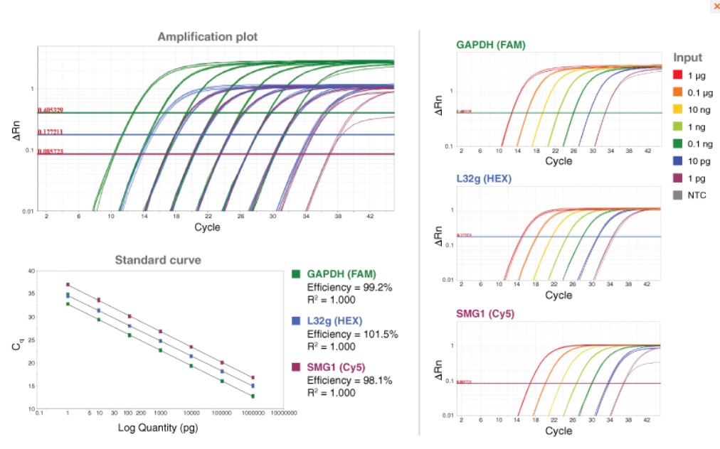 Luna® 探针一步法 RT-qPCR 试剂盒（无 ROX）            货   号                  E3007E