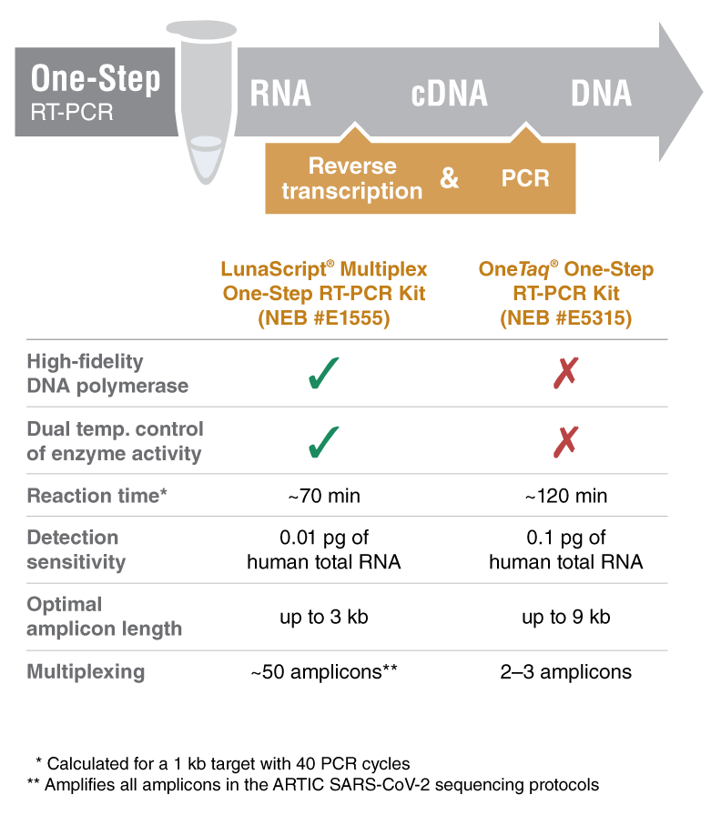 LunaScript® 一步法多重 RT-PCR 试剂盒 货 号 E1555L