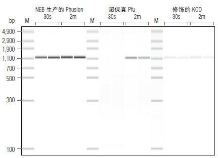 Phusion® 超保真 PCR 试剂盒                 货   号                  E0553L