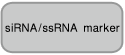 in vitro Transcription T7 Kit（for siRNA Synthesis）