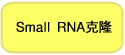 pBApo-EF1α Neo DNA