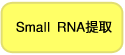 RNAiso for Small RNA