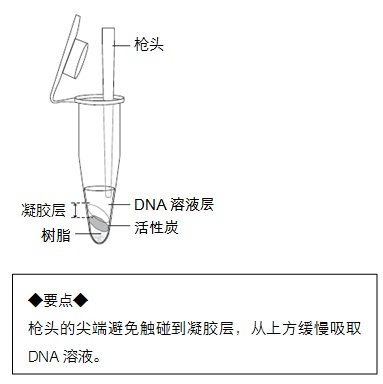 Lysis Buffer for Legionella