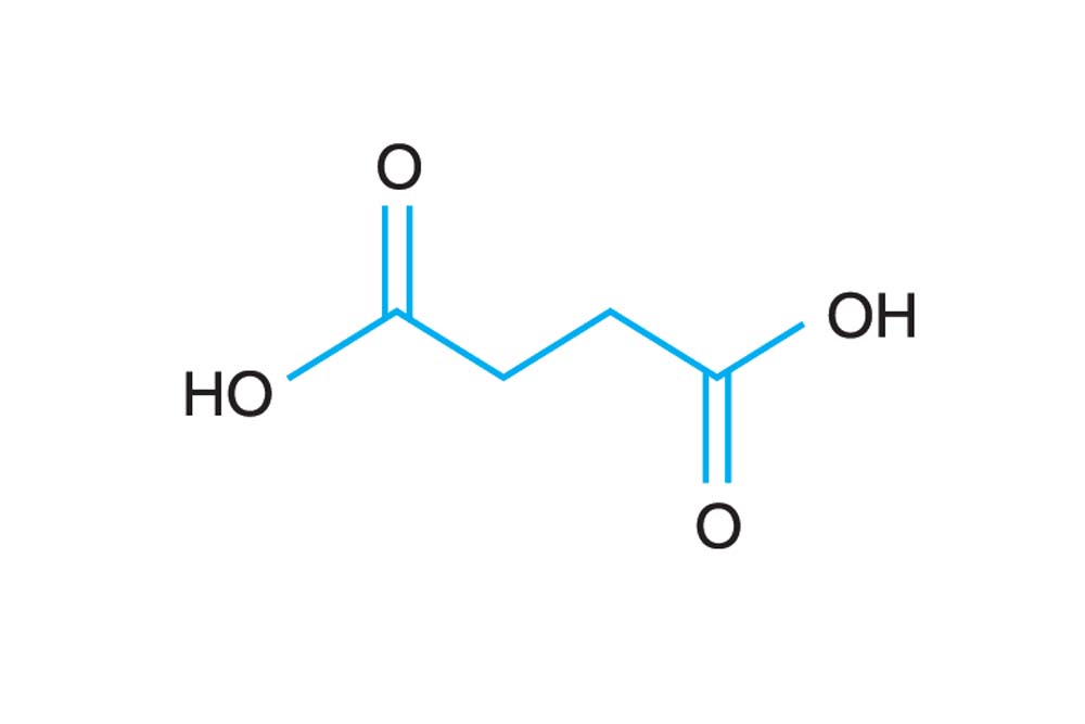 Hampton蛋白结晶试剂盒Succinic acid pH 7.0/HR2-709