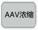 AAVpro&reg; Titration Kit (for Real Time PCR) Ver.2