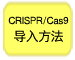 CRISPR/Cas9质粒系统