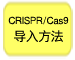 重组Cas9蛋白质 (3 μg/μl)