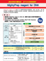 MightyPrep reagent for DNA