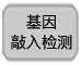 Cas9-sgRNA细胞纳米囊泡制备