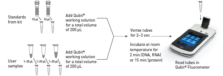 美国Life Qubit3.0/Qubit4.0荧光定量仪Qubit4.0
