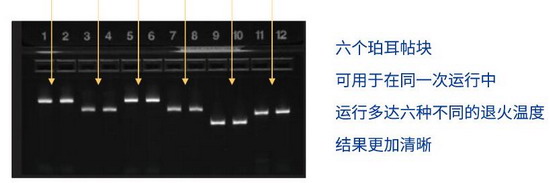 美国ABI Veriti 96梯度PCR仪基因扩增仪Veriti 96