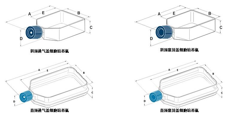 美国BD Falcon细胞培养瓶BD Falcon