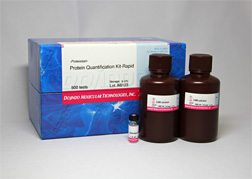 タンパク質定量キット -Proteostain-Protein Quantification Kit-Rapid 同仁化学研究所