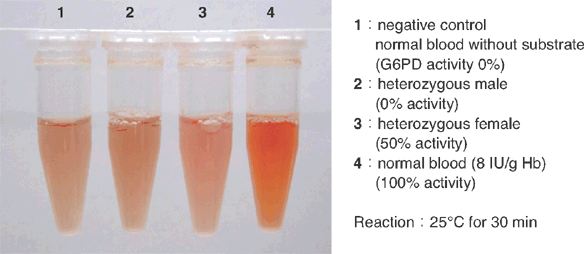 グルコース-6-リン酸脱水素酵素活性測定用キット G6PD Assay Kit-WST 同仁化学研究所