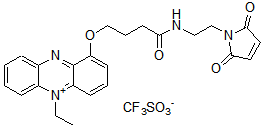 電子メディエーター Thiol-reactive PES 同仁化学研究所