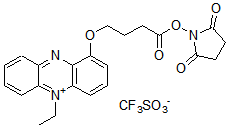 電子メディエーター Thiol-reactive PES 同仁化学研究所