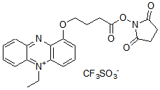 アミノ基反応性電子メディエーター Amine-reactive PES | CAS - 同仁化学研究所