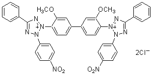 還元系発色試薬 Nitro-TB | CAS 298-83-9 同仁化学研究所