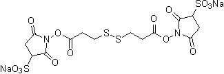 架橋剤 DTSSP | CAS 81069-02-5(free acid) 同仁化学研究所