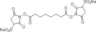 架橋剤 BS3 | CAS 82436-77-9(free acid) 同仁化学研究所