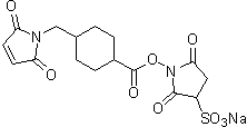 架橋剤 Sulfo-SMCC | CAS 92921-24-9 同仁化学研究所