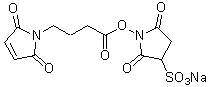 架橋剤 Sulfo-GMBS | CAS 185332-92-7 同仁化学研究所