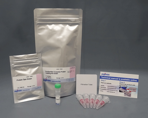 エクソソーム精製キット ExoIsolator Exosome Isolation Kit 同仁化学研究所