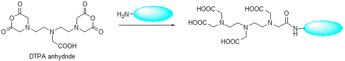 キレート標識試薬 DTPA anhydride | CAS 23911-26-4 同仁化学研究所