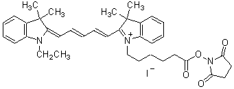 蛍光標識試薬 IC5-OSu special packaging | CAS 916753-59-8 同仁化学研究所