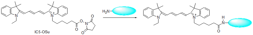 蛍光標識試薬 IC5-OSu special packaging | CAS 916753-59-8 同仁化学研究所