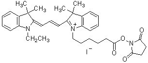 蛍光標識試薬 IC3-OSu special packaging 同仁化学研究所