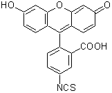 蛍光標識試薬 FITC-I | CAS 3326-32-7 同仁化学研究所