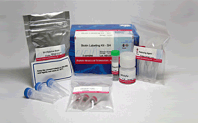 抗体標識キット Ab-10 Rapid Biotin Labeling Kit 同仁化学研究所