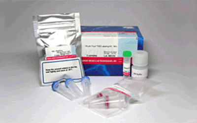 抗体標識キット Ab-10 Rapid HiLyte Fluor&trade; 647 Labeling Kit 同仁化学研究所