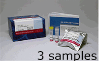 抗体標識キット Ab-10 Rapid HiLyte Fluor&trade; 647 Labeling Kit 同仁化学研究所