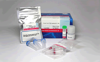 抗体標識キット Ab-10 Rapid HiLyte Fluor&trade; 555 Labeling Kit 同仁化学研究所