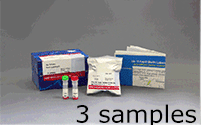 抗体標識キット Ab-10 Rapid R-Phycoerythrin Labeling Kit | CAS - 同仁化学研究所