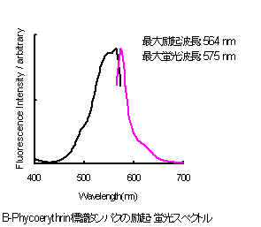 抗体・タンパク質標識キット R-Phycoerythrin Labeling Kit - SH 同仁化学研究所