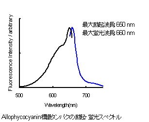 抗体・タンパク質標識キット Allophycocyanin Labeling Kit - SH 同仁化学研究所