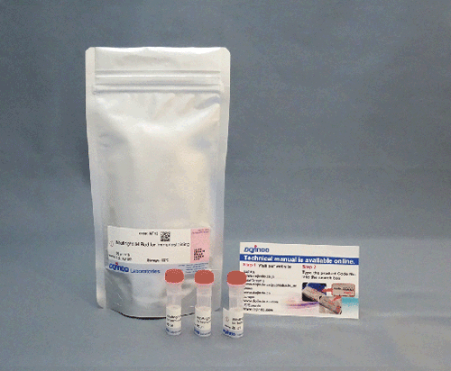 抗体・タンパク質標識キット Fluorescein Labeling Kit - NH2 同仁化学研究所