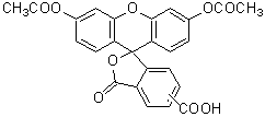 菌蛍光染色用色素 -Bacstain- PI solution 同仁化学研究所