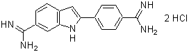 菌蛍光染色用色素 -Bacstain- PI solution 同仁化学研究所