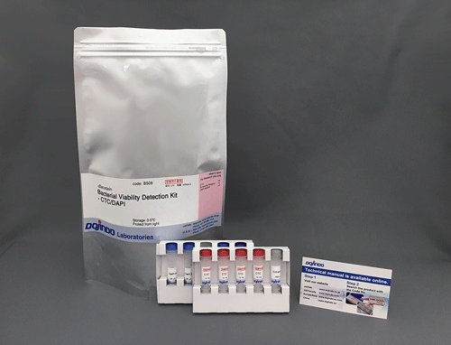 CFDA/PI で菌を二重染色 -Bacstain- Bacterial Viability Detection Kit - CFDA/PI 同仁化学研究所