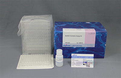 試験片用バイオフィルム形成能測定キット Biofilm TestPiece Assay Kit 同仁化学研究所