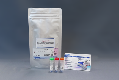 リソソームpH検出キット (Green/Deep Red) Lysosomal Acidic pH Detection Kit-Green/Deep Red 同仁化学研究所